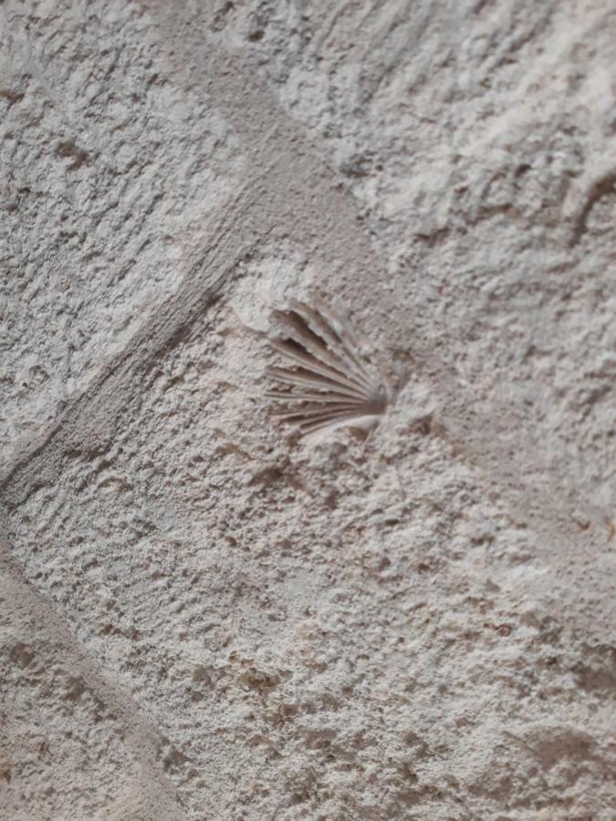 Dimora Sasi Locazione Turistica Lägenhet Polignano a Mare Exteriör bild